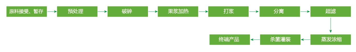 蓝莓、草莓、桑葚浓缩汁